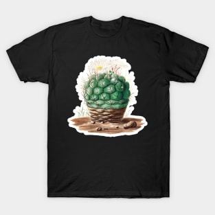 Gymnocalycium uruguayense cactus T-Shirt